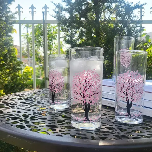 올해제주도벗꽃피는시기 추천 베스트8