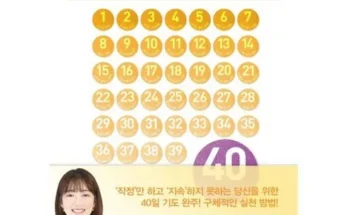 일기일회 죽도 인기 제품 추천 베스트 10위