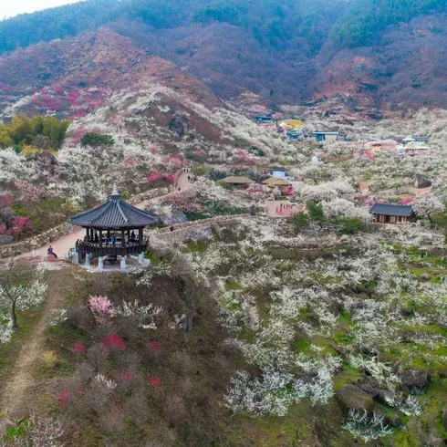 전라도 봄 여행 추천 리스트 및 가격 비교 내돈내산 정보 확인