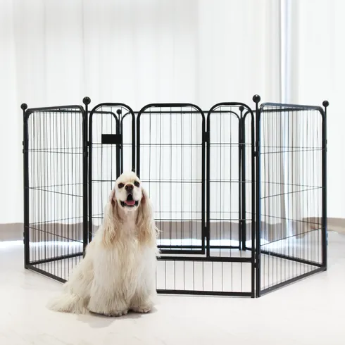 펫초이스 클래식 추천 (인기 브랜드 순위 가격 비교) TOP10