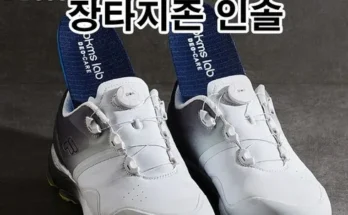 골프화깔창 내돈내산 추천 정보 가격 비교 확인하세요