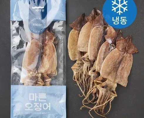 마른오징어 추천 베스트8