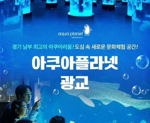 아쿠아리움 추천 제품 최저 가격 비교하고 구입했어요