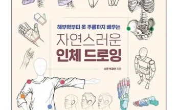 인체드로잉 2024년 BEST 추천 상품 가격 비교