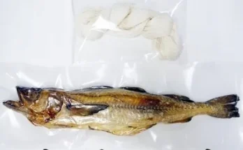 차고사 왜 인기 있는지 추천 이유와 가격 비교