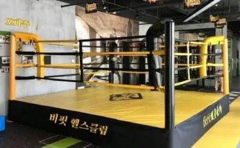 팔각무술 추천 제품 Best 구매 가이드 가격 비교