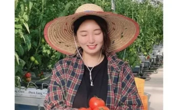 특품토마토 추천 제품 핫한 가격 비교