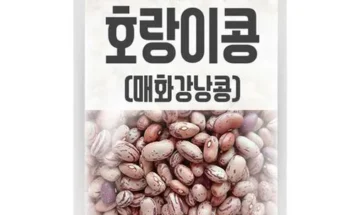 호랑이콩 추천 제품 최저 가격 비교하고 구입했어요