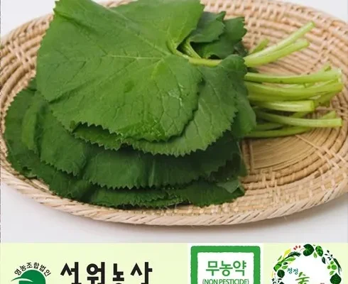 곰취 추천 리스트 및 가격 비교 내돈내산 정보 확인