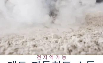 이사청소비용 추천 제품 Best 구매 가이드 가격 비교